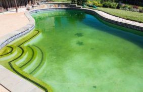 How To Clean A Green Pool