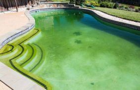How To Get Rid Of Algae In Pool