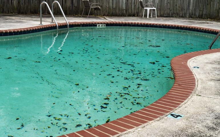 Black Algae In A Pool What It Is How To Remove Prevent Wezaggle
